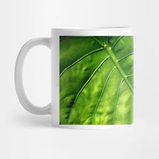 Nature's solar panel Mug